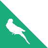 Corner Budgie