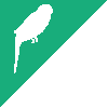 Corner Budgie