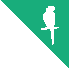 Corner Budgie