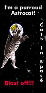 Cats in Space