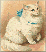 Victorian Cat
Webring