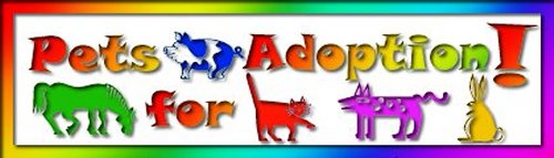 bigpets4adoption.jpg (20674 bytes)