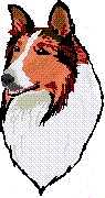 collielogo.jpg (5382 bytes)