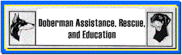 dare_h1.gif (6449 bytes)