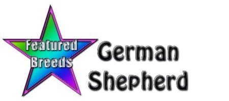 feat_germshep.jpg (14452 bytes)