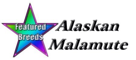 feat_malamute.jpg (15906 bytes)