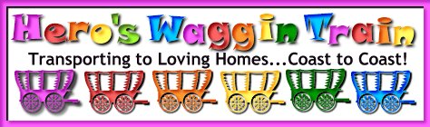 hwtnewlogo4.jpg (29479 bytes)