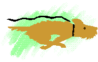 leash.gif (2877 bytes)