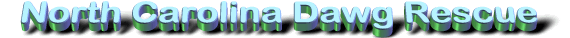 ncdrlogo.gif (11472 bytes)