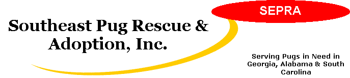 sepralogo.gif (4489 bytes)