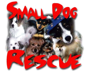 smdoglogo.gif (41008 bytes)