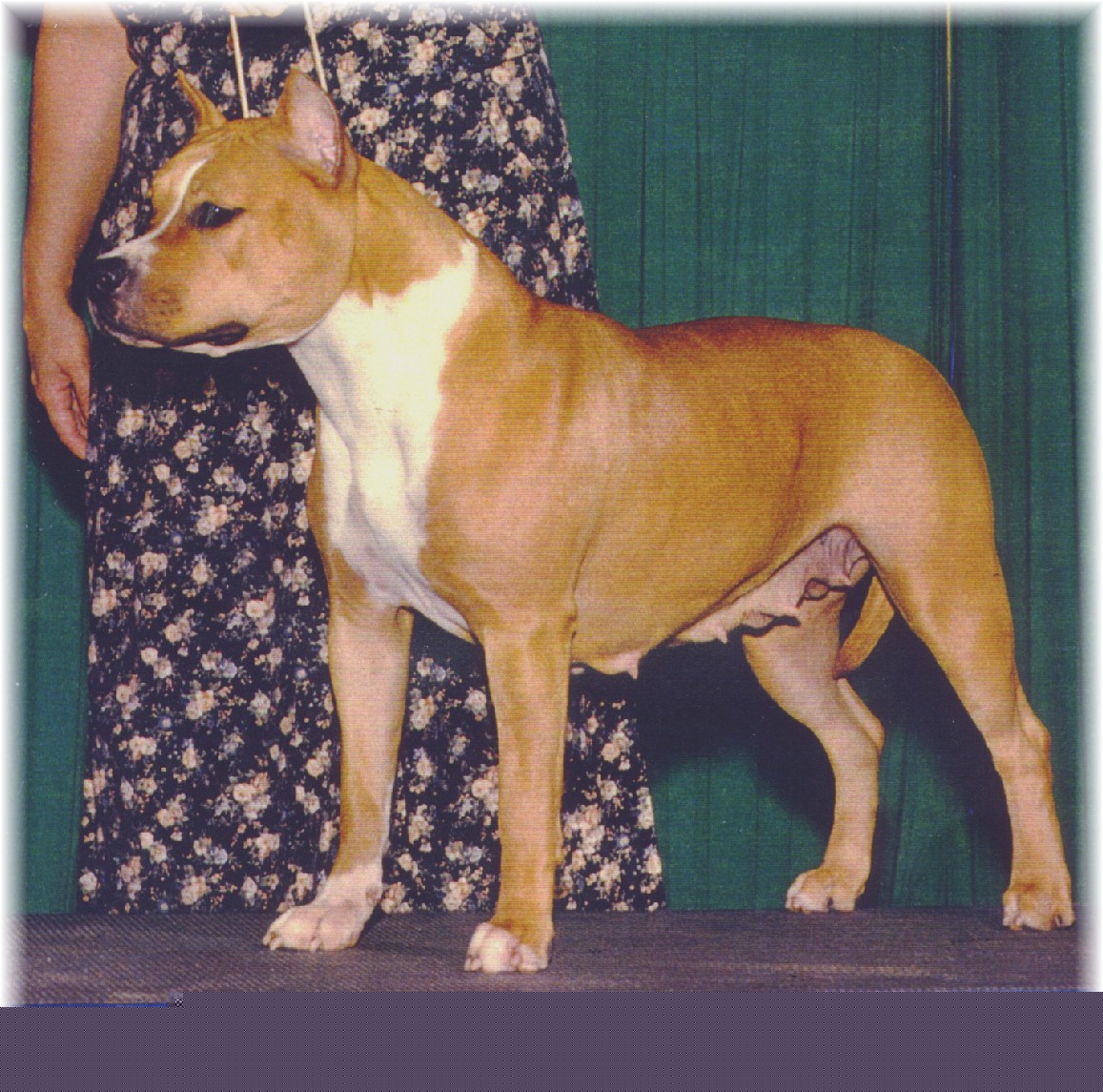 Grace2.jpg (22763 bytes)