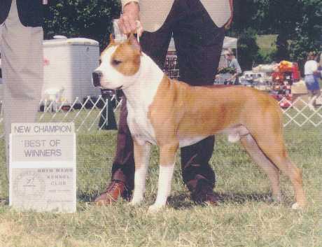 Killian.jpg (22977 bytes)