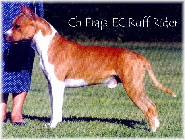 Ruff Rider.jpg (22763 bytes)