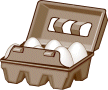 Eggs in Carton