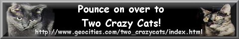 Two Crazy Cats