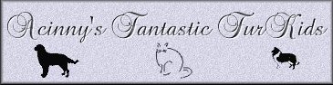 Acinny's Fantastic Fur Kids
