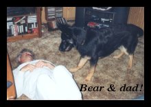 Bear