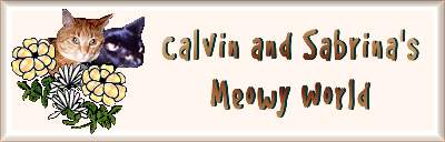 Calvin & Sabrina's Meowy World