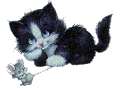 cat and mouse.gif