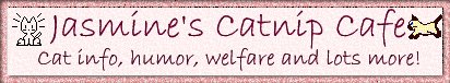 Jasmine's Catnip Cafe