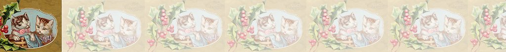 pretty cats with matching muted background