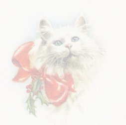 white cat with bow muted tile