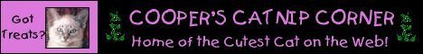 Cooper's Catnip Corner