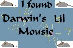 I helped Darwin find his toy!