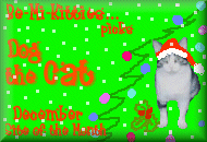 Be-Mi-Kitties Award
