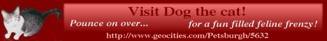Dog the Cat Banner