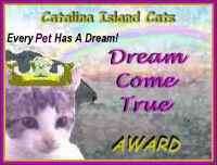Dreams Come True Award
