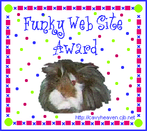 Funky Site Award