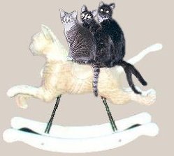 Zena, Scraps, and Bonique on carousel cat