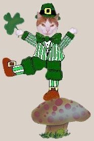 Ned