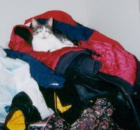 Jacket Junkie