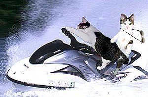 hold on tight!