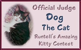 judge Dog!