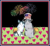 Sparkler kitties!