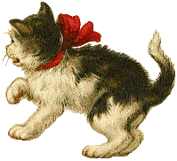 cat kneading.gif