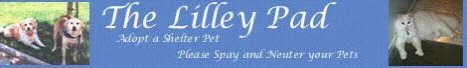 The Lilley Pad