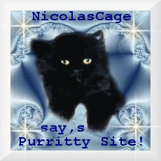 luv Kitty's Nicolas Cage Award