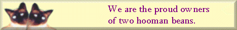 Tin Yan & Su Chi's Home Page