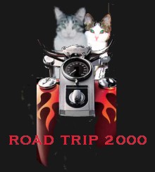whiskers on wheels