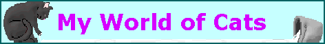 My World Of Cats