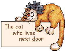 The cat who lives next door