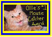 Ollie's #1 Mouse Catcher Award