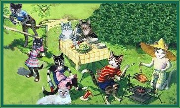 wink wink cook out