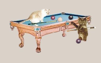 Dusty and Levi enjoy a game of pool