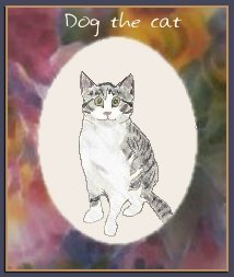 self portrait